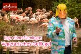 Ingo ohne Flamingo, ©Fracasso