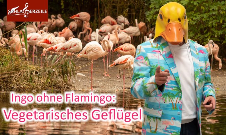 Ingo ohne Flamingo, ©Fracasso