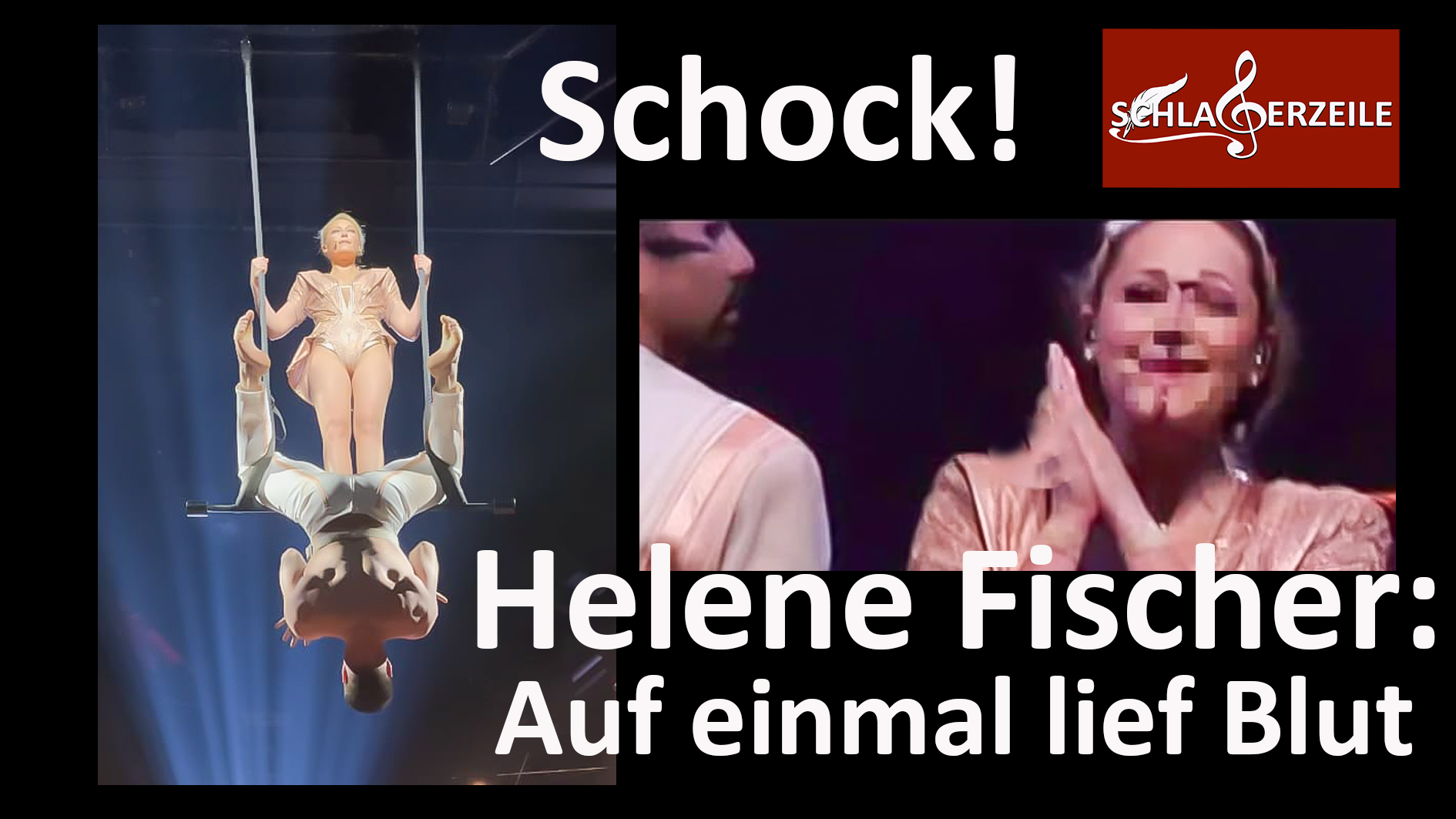 Helene Fischer, Unfall, Konzertabbruch