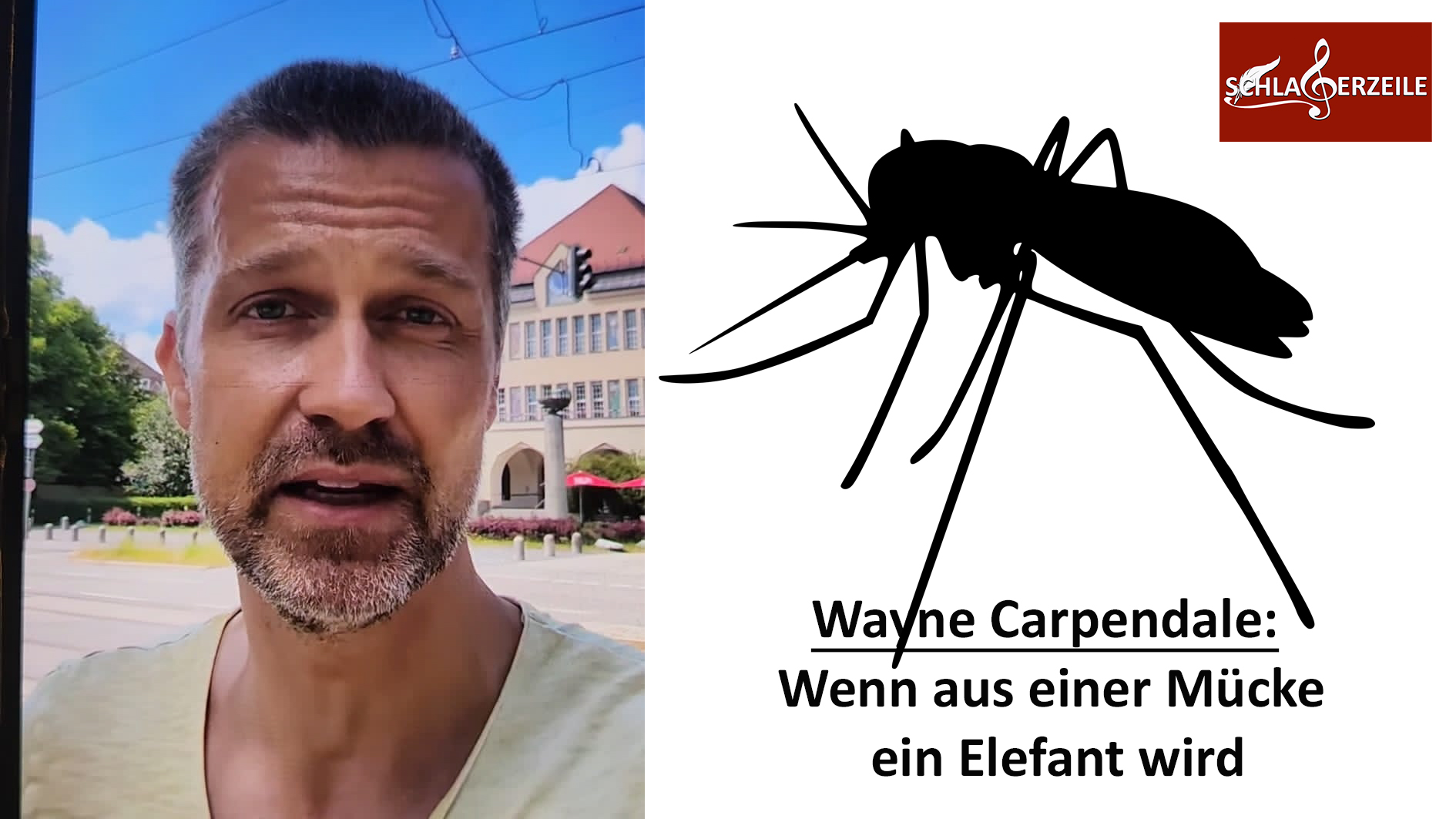 Wayne Carpendale Mücke