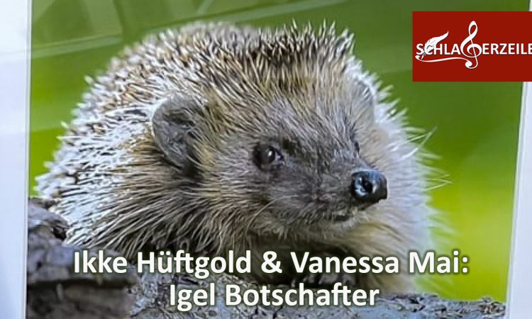 Vanessa Mai, Ikke Hüftgold, Igel