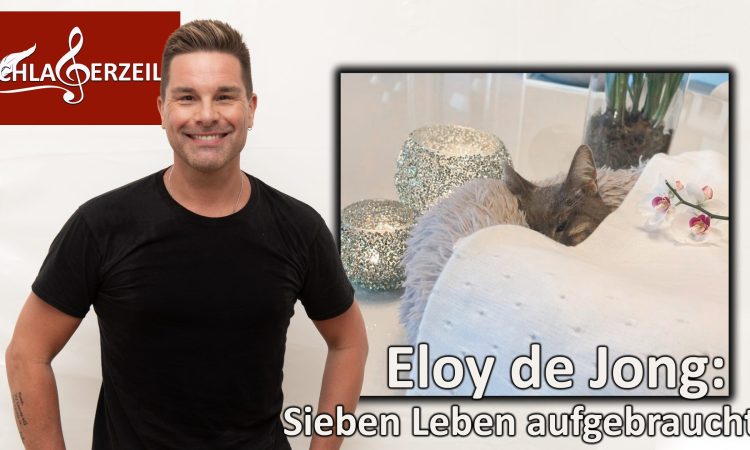 Eloy de Jong Katze